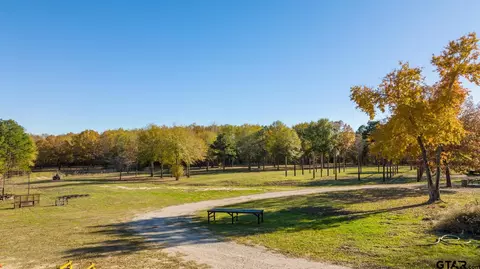 725 Moose Rd, Winnsboro, TX 75494