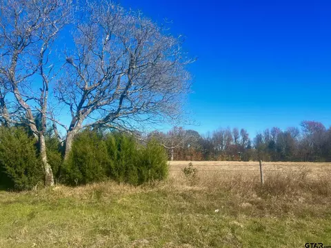 tbd Fm 3384, Pittsburg, TX 75686