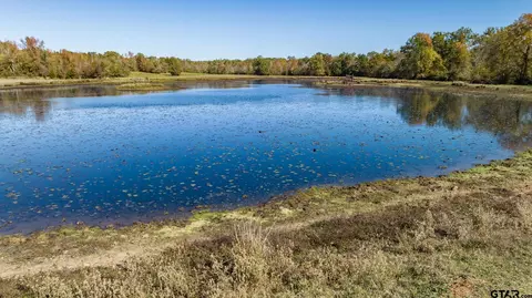 000 Fm 225, Laneville, TX 75667