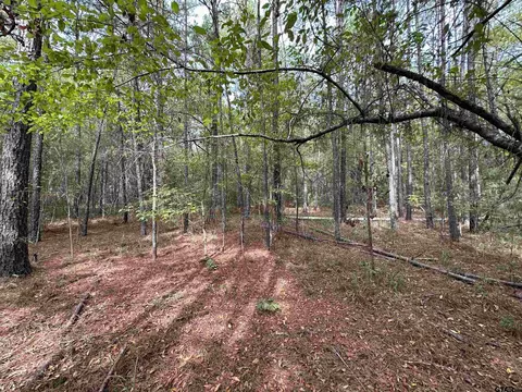 tbd Sh 204, Reklaw, TX 75784