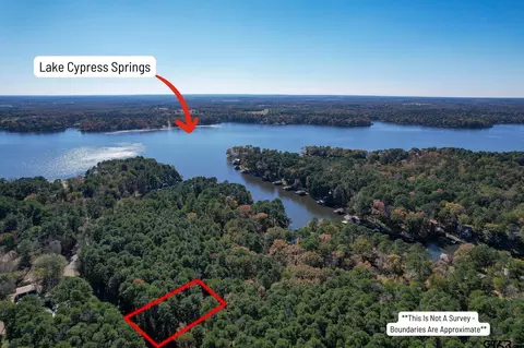 lot22 Wildwood Trl, Mount Vernon, TX 75457