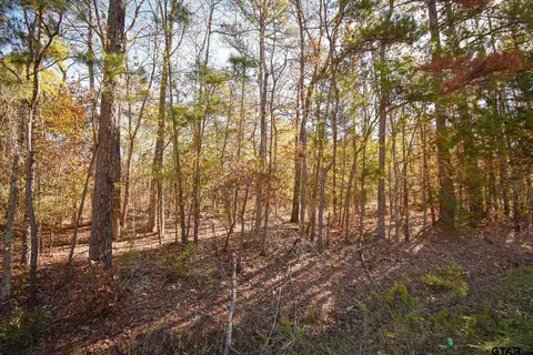 tbd Big Oak Bay Rd Tract 3, Tyler, TX 75707