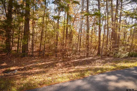 tbd Big Oak Bay Rd Tract 4, Tyler, TX 75707