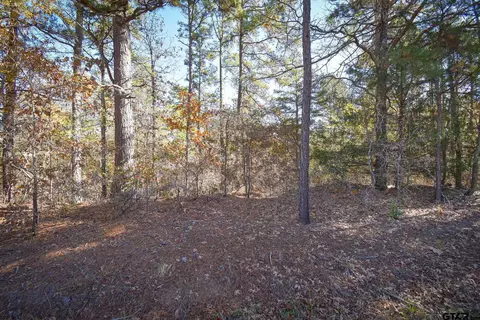 tbd Big Oak Bay Rd Tract 5, Tyler, TX 75707