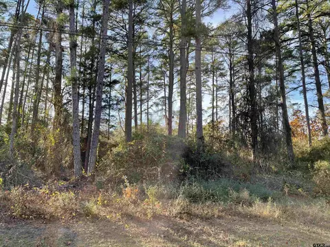tbd Green Meadow Trl, Holly Lake Ranch, TX 75765