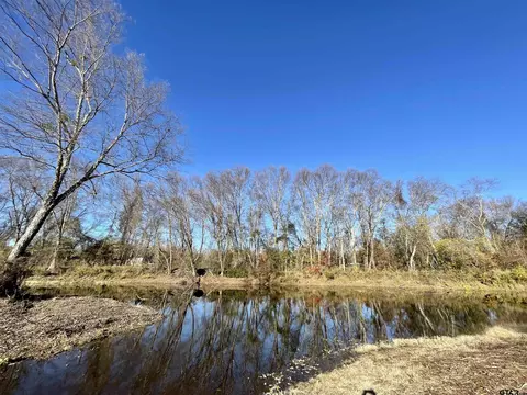 18160 Cr 4225, Frankston, TX 75763