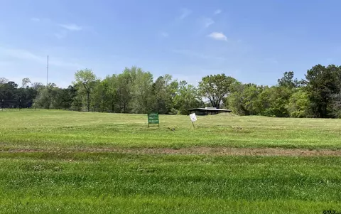 12746 Ridgeway Ct, Winona, TX 75792