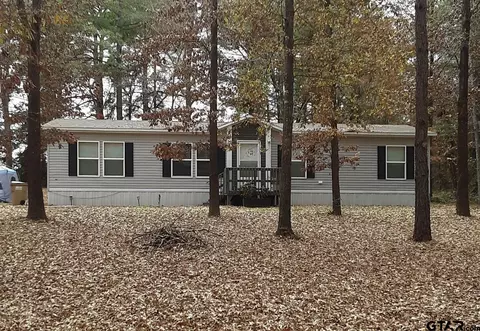 202 Eagle Rdg, Diana, TX 75640