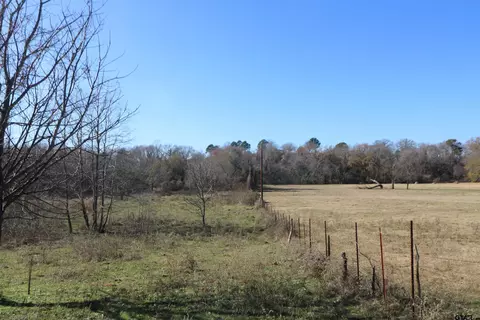 Cr 4343, Larue, TX 75770