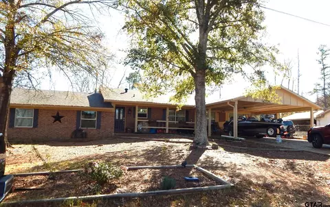110 Lakeside Dr, Linden, TX 75563