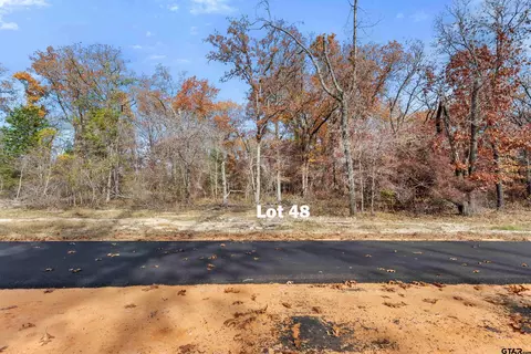 tbd Tbd Pr 6305 #LOT 48, Mineola, TX 75773