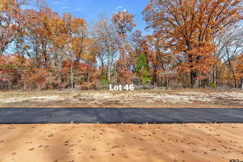 tbd Tbd Pr 6305 #LOT 46, Mineola, TX 75773
