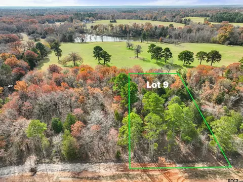 tbd Pr 6305 #LOT 9, Mineola, TX 75773