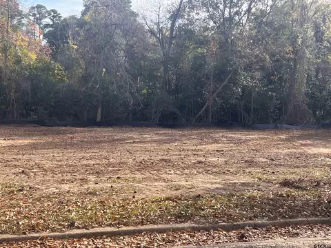 1410 New Forest Dr, Longview, TX 75601