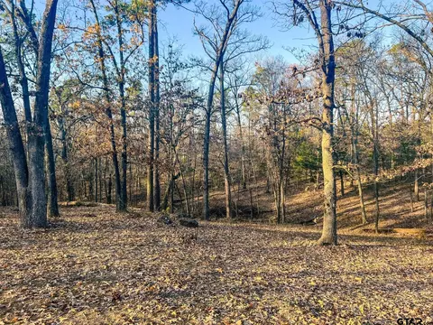 836 Cr 2601, Pittsburg, TX 75686