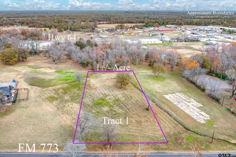 Tract 1 Tbd Fm 279, Ben Wheeler, TX 75754