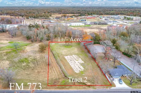 Tract 2 Tbd Fm 279, Ben Wheeler, TX 75754