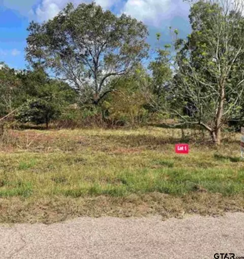 tbd Lot 1 Cr 2204 D Fm 1797, Tatum, TX 75691
