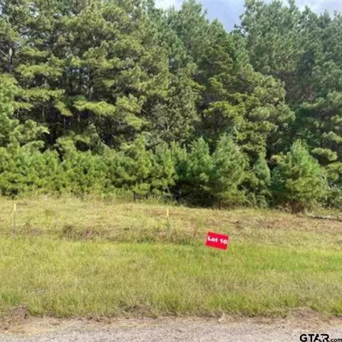 tbd Lot 10 Cr 2204 D Fm 1797, Tatum, TX 75691