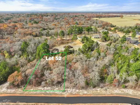 tbd Pr 6305 #LOT 52, Mineola, TX 75773