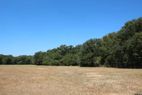 22 5 Ac Cr 1500, Emory, TX 75440