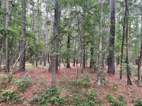 20348 Cr 4106 #LOT 12, Lindale, TX 75771