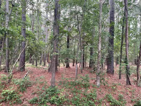 20312 Cr 4106 #LOT 13, Lindale, TX 75771