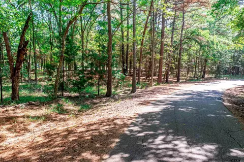 lot27 Wildwood Trl, Mount Vernon, TX 75457