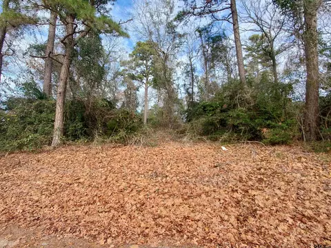 tbd Beech Rd, Big Sandy, TX 75755