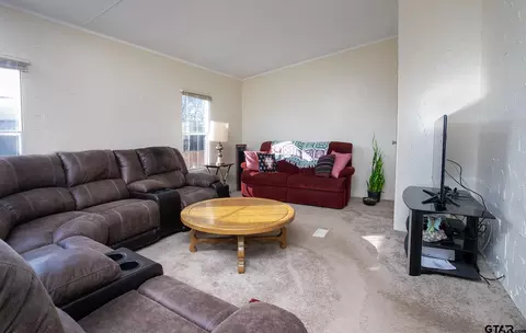 164 Kickapoo, Quitman, TX 75783 photo 5