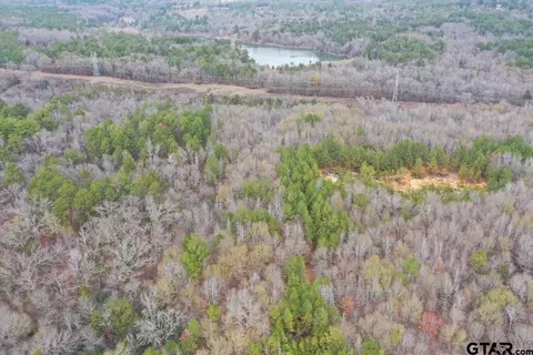 10169 Hwy 271, Tyler, TX 75708 photo 9