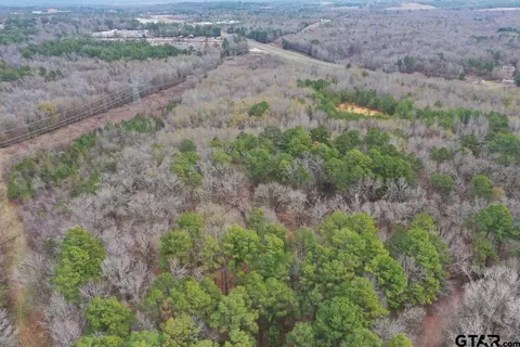 10169 Hwy 271, Tyler, TX 75708 photo 6