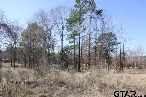 745 Stone Chimney Rd, Bullard, TX 75757
