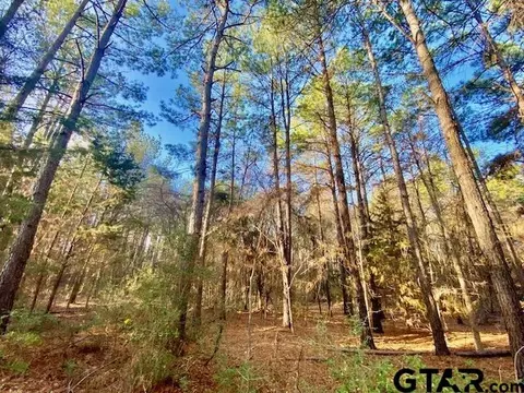 tbd Cr 1190, Kennard, TX 75847