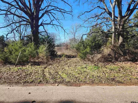 tbd Cr 4950, Pittsburg, TX 75686