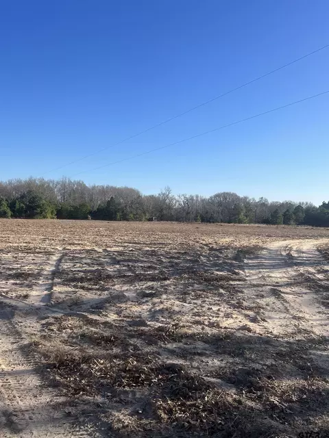 20290 Cr 4114, Lindale, TX 75771