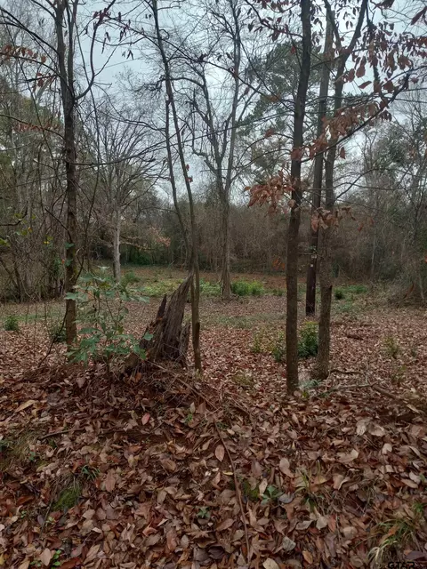 404 Cr 3112, Jacksonville, TX 75766