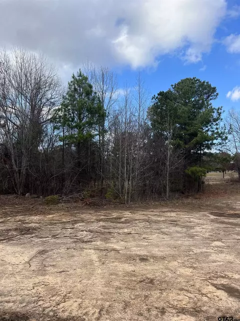 17569 Fm 14, Tyler, TX 75706