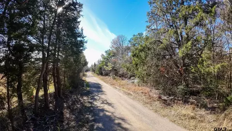 tbd Pvt Rd 8700, Ben Wheeler, TX 75754