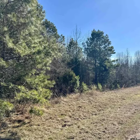 lot11 12 Lakeview Dr, Omaha, TX 75571
