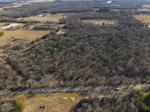 000 Cr 4528, Larue, TX 75770