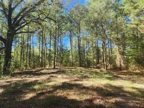 tbd Dahlia Rd #2, Gilmer, TX 75644