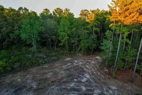tbd Dahlia Rd #3, Gilmer, TX 75644