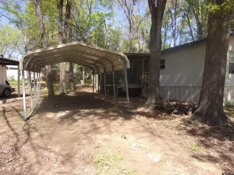 253 E Walnut Trl, Murchison, TX 75778 photo 8