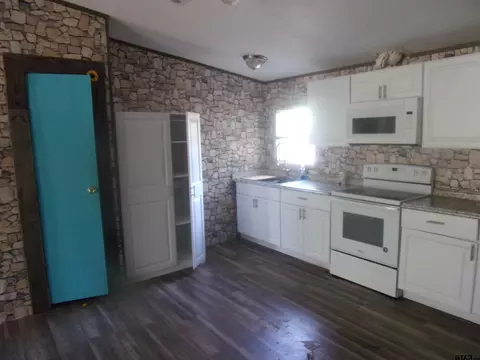 253 E Walnut Trl, Murchison, TX 75778 photo 16