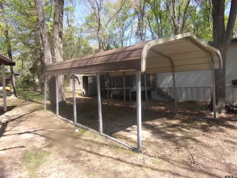 253 E Walnut Trl, Murchison, TX 75778 photo 9