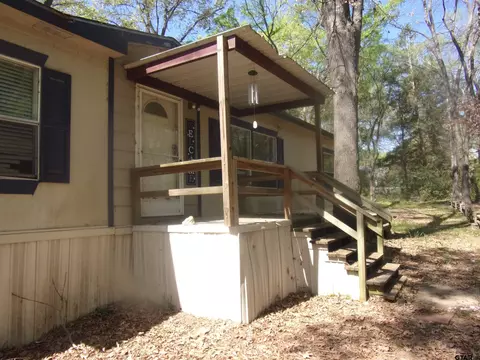 253 E Walnut Trl, Murchison, TX 75778 photo 3