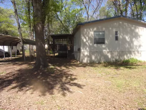 253 E Walnut Trl, Murchison, TX 75778 photo 5