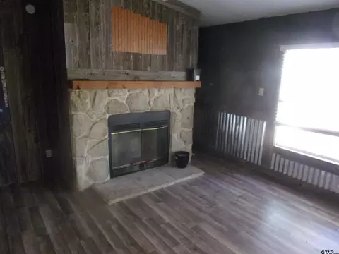253 E Walnut Trl, Murchison, TX 75778 photo 18