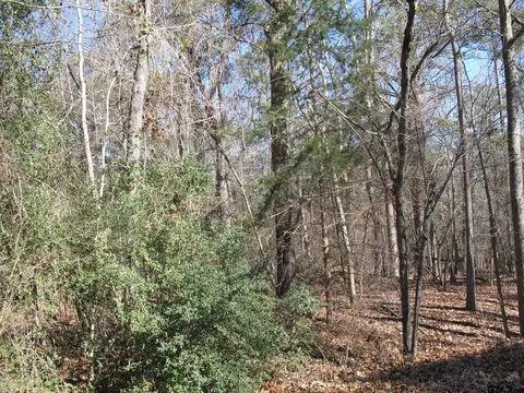 To Be Determine County Rd 2337, Tyler, TX 75707